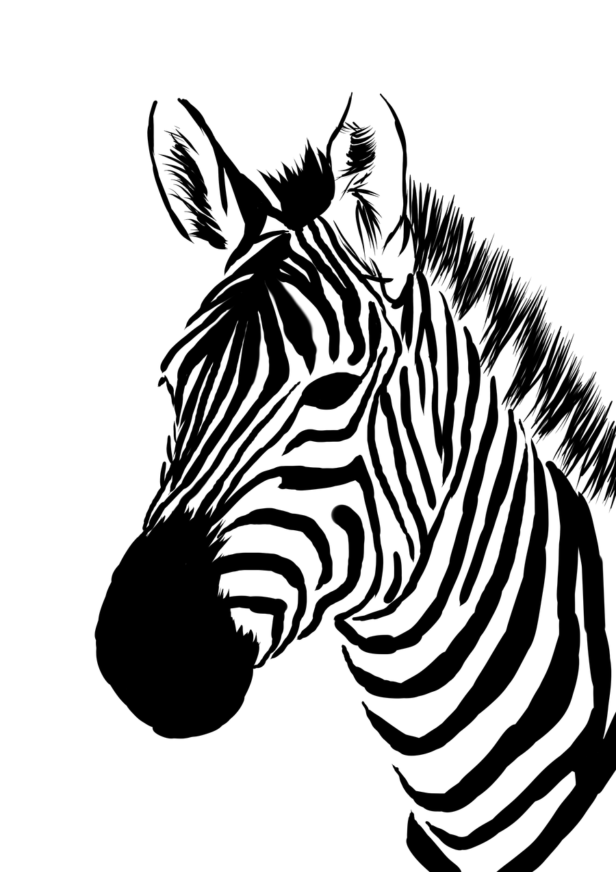 zebra outline clip art - photo #41