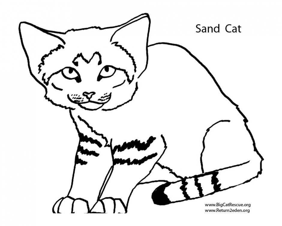 Wild Cat Clip Art