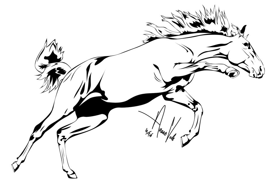 clip art horse outline - photo #28