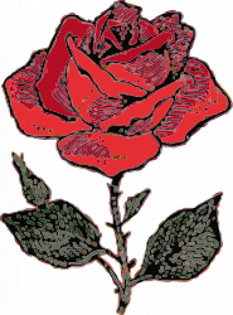 Red rose sketch Vector | Free Download