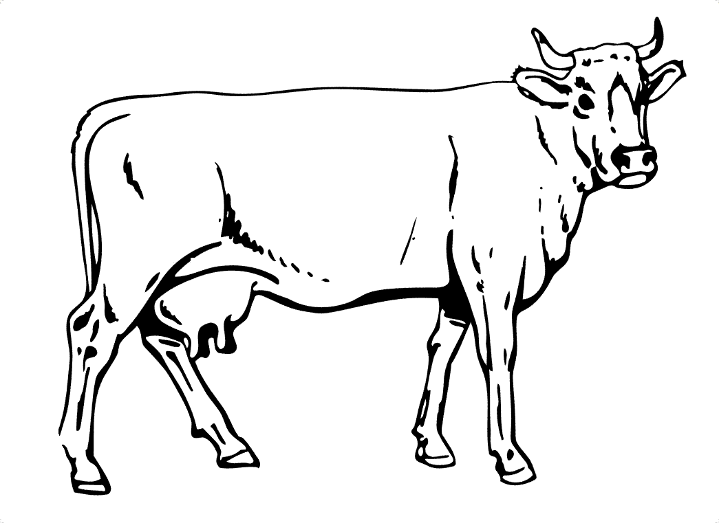 painting cow coloring pages - photo #25