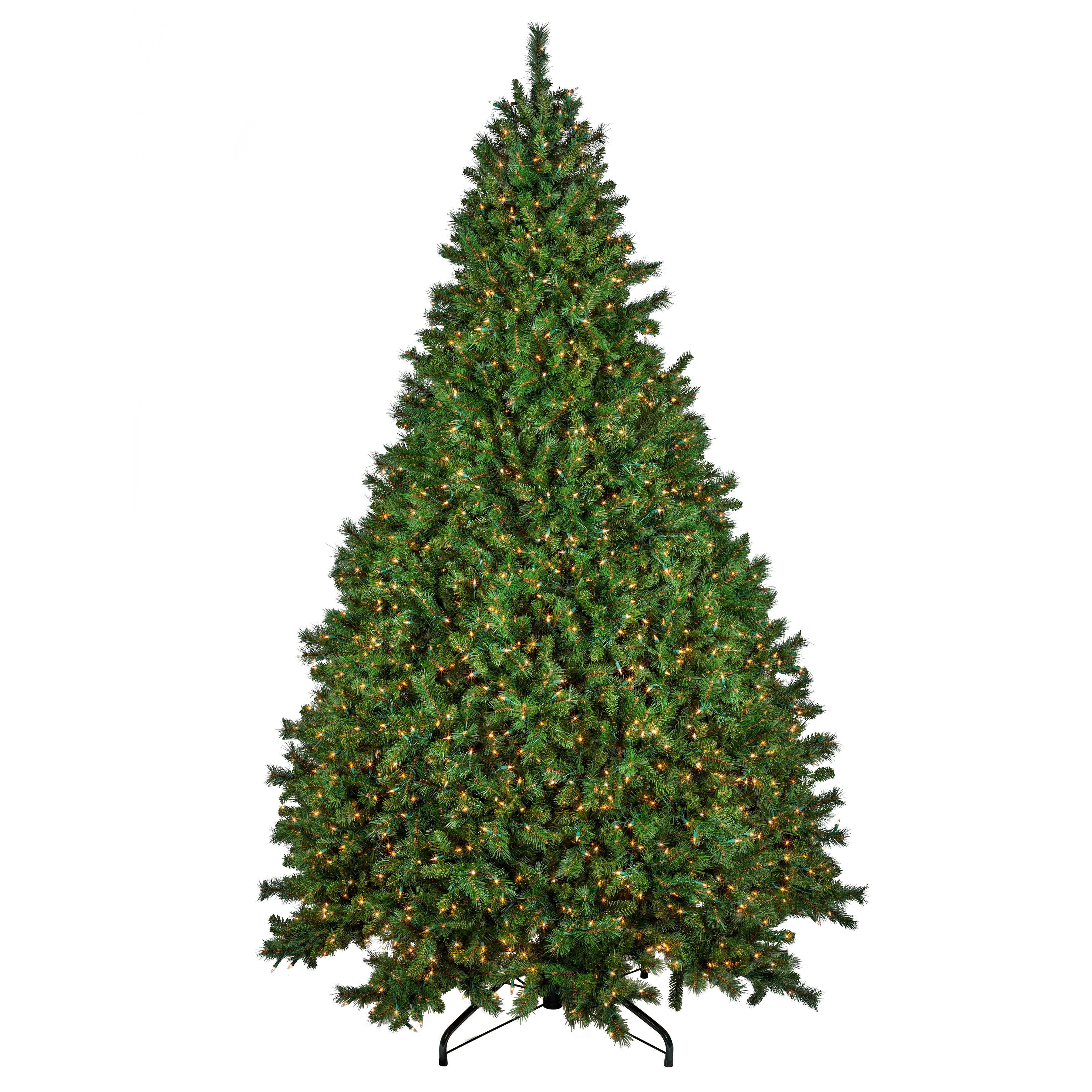 fir tree clipart - photo #40