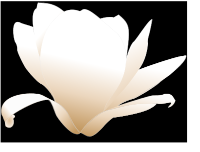 magnolia-white patricia 01 flowers SVG