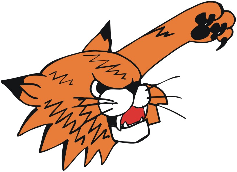 Cartoon Cat Head - ClipArt Best