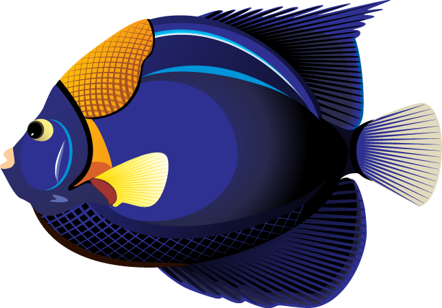 clipart images of tropical fish - photo #1