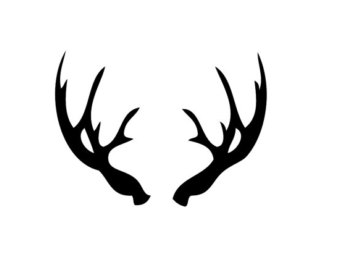 Whitetail deer antlers clipart