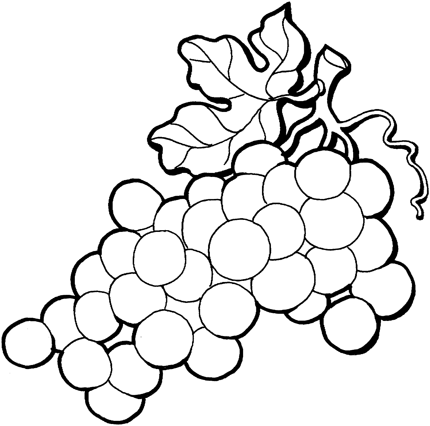 Drawing Of Grapes - ClipArt Best