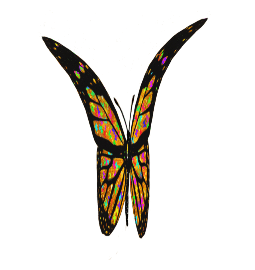 Inspire and Share: InspireNshare The Butterfly FX