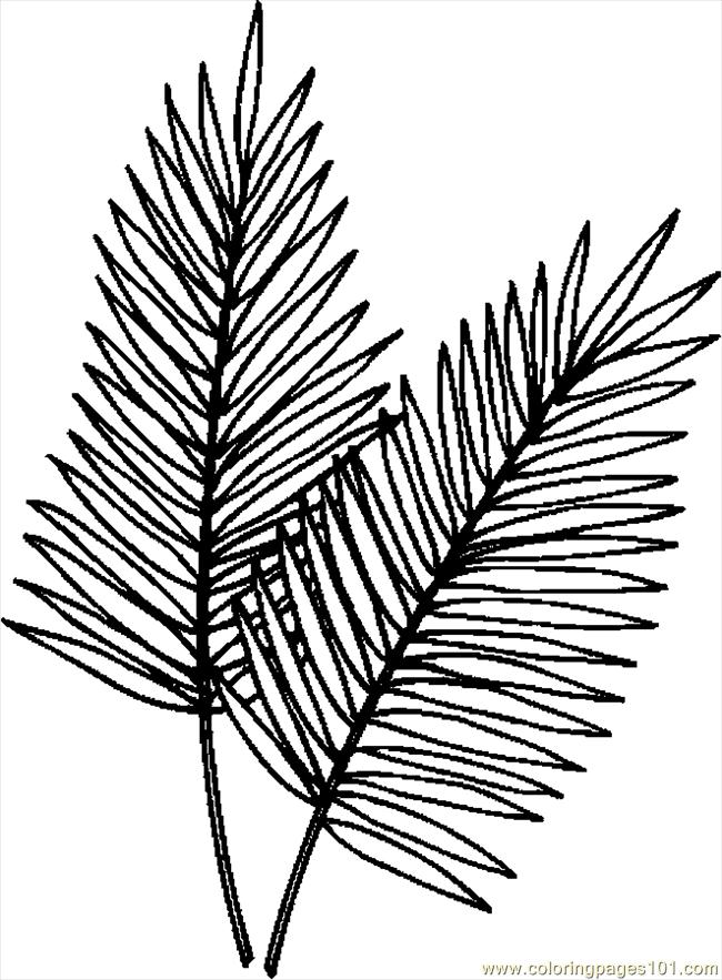 palm tree clip art coloring pages - photo #13