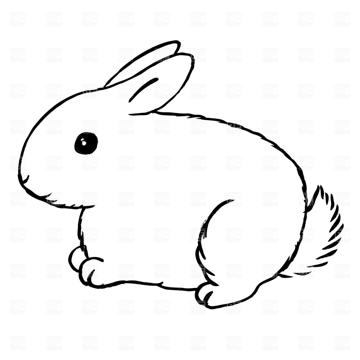 White Rabbit Clipart