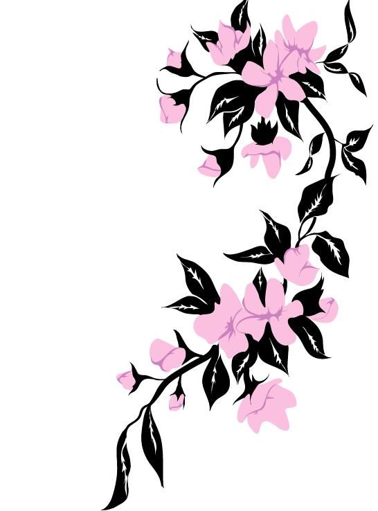 Flowering vines, Best flowers and Jasmine flower tattoos