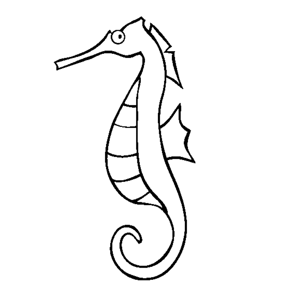 Little Seahorse Coloring Pages | Animal Coloring pages of ...