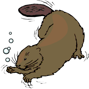 Swimming Beaver Clipart