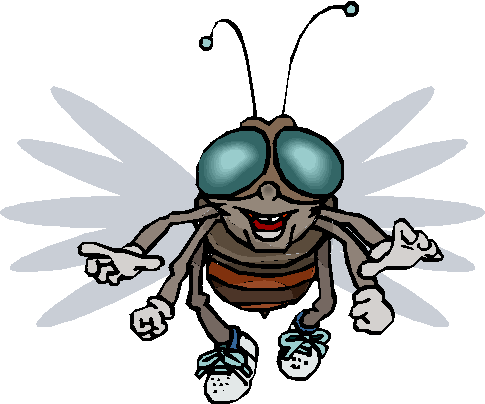 Pictures Of Cartoon Flies - ClipArt Best