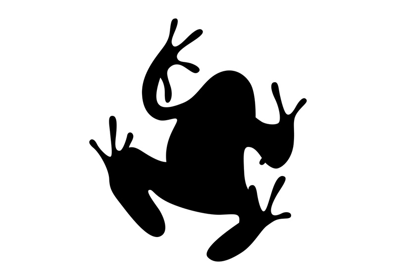Frog Silhouette From Below