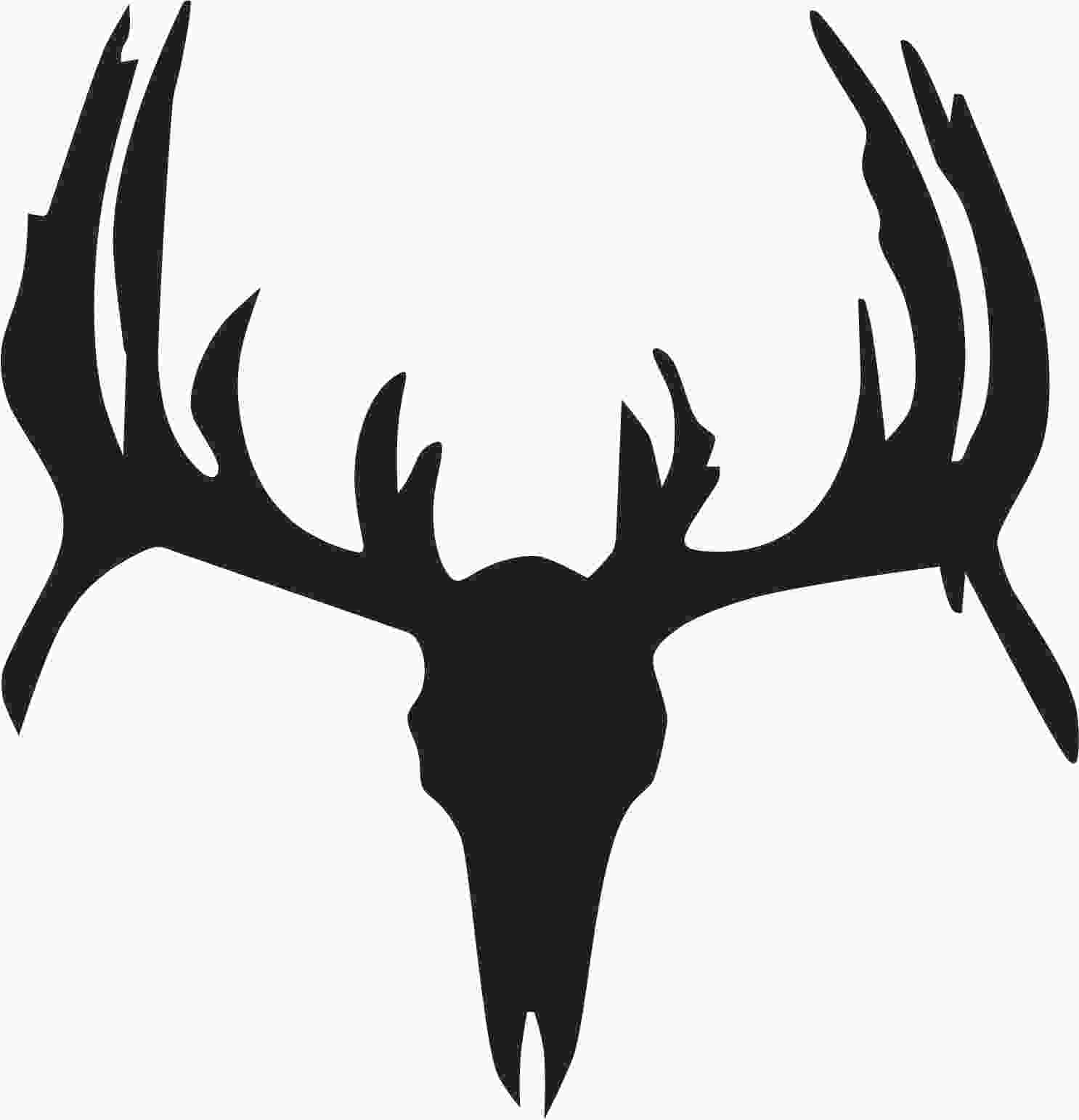 Images For > Deer Skull Outline