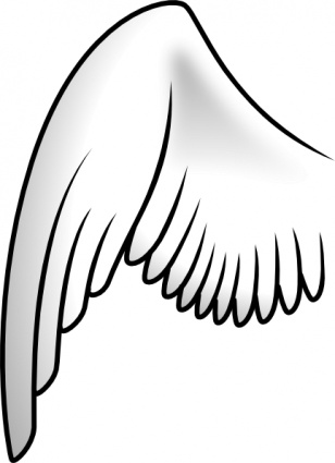Pix For > Simple Cartoon Bird Wings