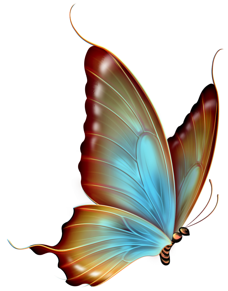 Image - Brown and Blue Transparent Butterfly Clipart.png - The ...