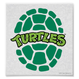 Turtle Shell Posters | Zazzle