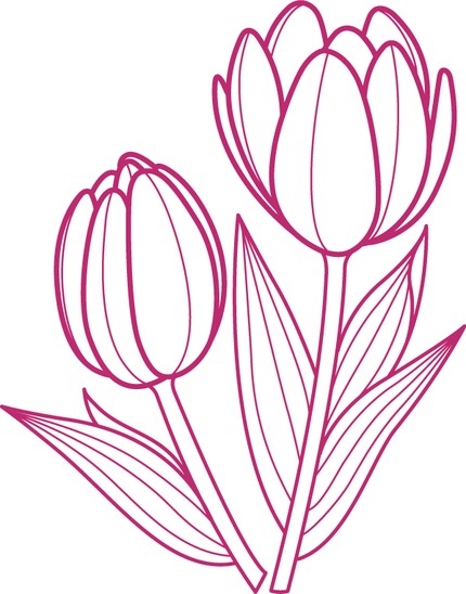 Tulip Outline Drawing - ClipArt Best - ClipArt Best
