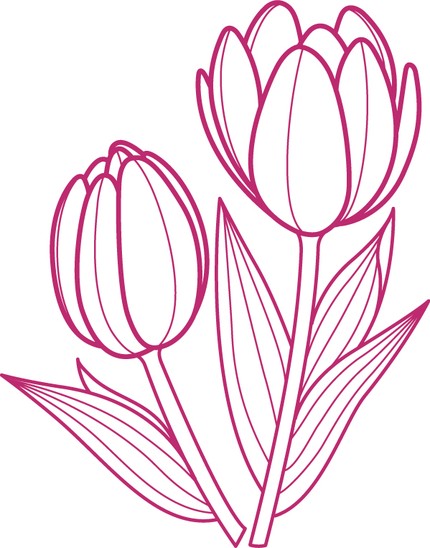 Tulip Outline Drawing