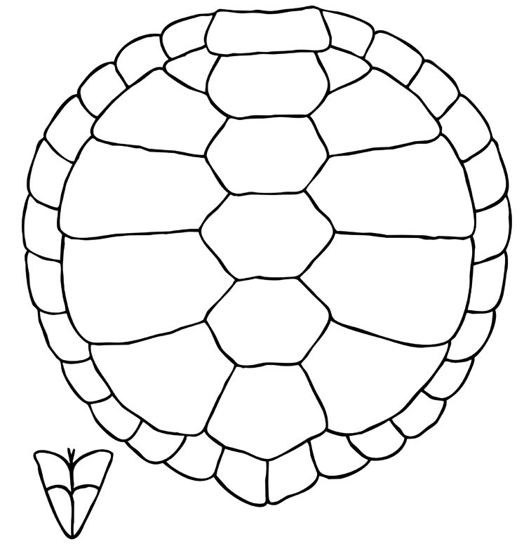 Turtle Shell Clip Art | Coloring Pages