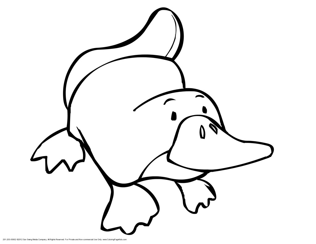 Platypus Coloring Pages - Free Clipart Images