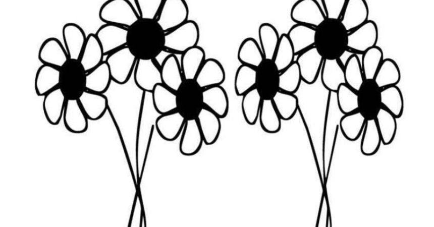 Daisy Flower Drawing Coloring - GFT Coloring • #115609
