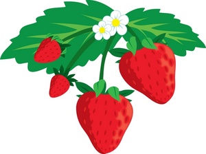 Clip Art Eating Strawberry Clipart