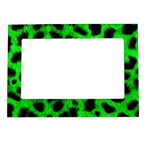 BRIGHT NEON GREEN LIME BLACK ANIMAL PRINT PATTERN MAGNETIC PICTURE ...