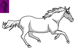 horse_template_2_by_Shearkin.png