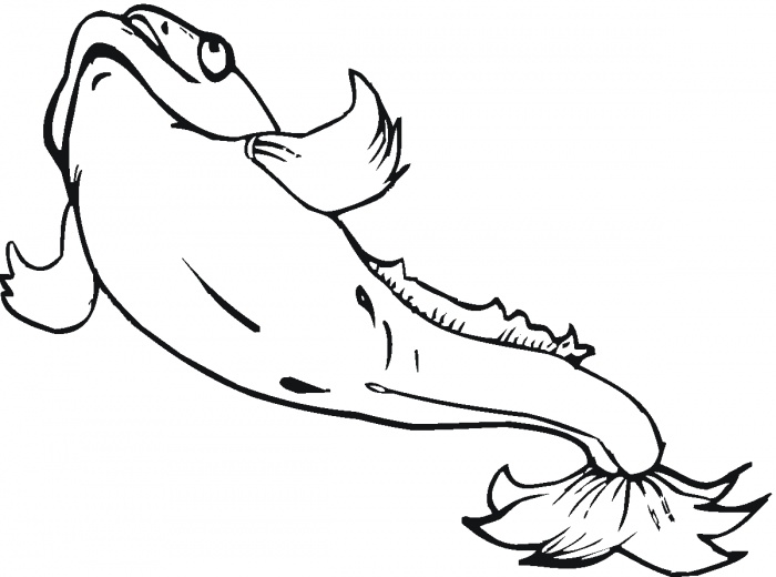 Catfish Drawings - ClipArt Best