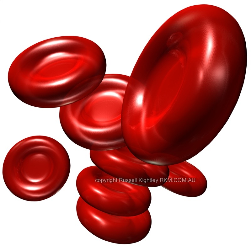 clipart red blood cell - photo #4