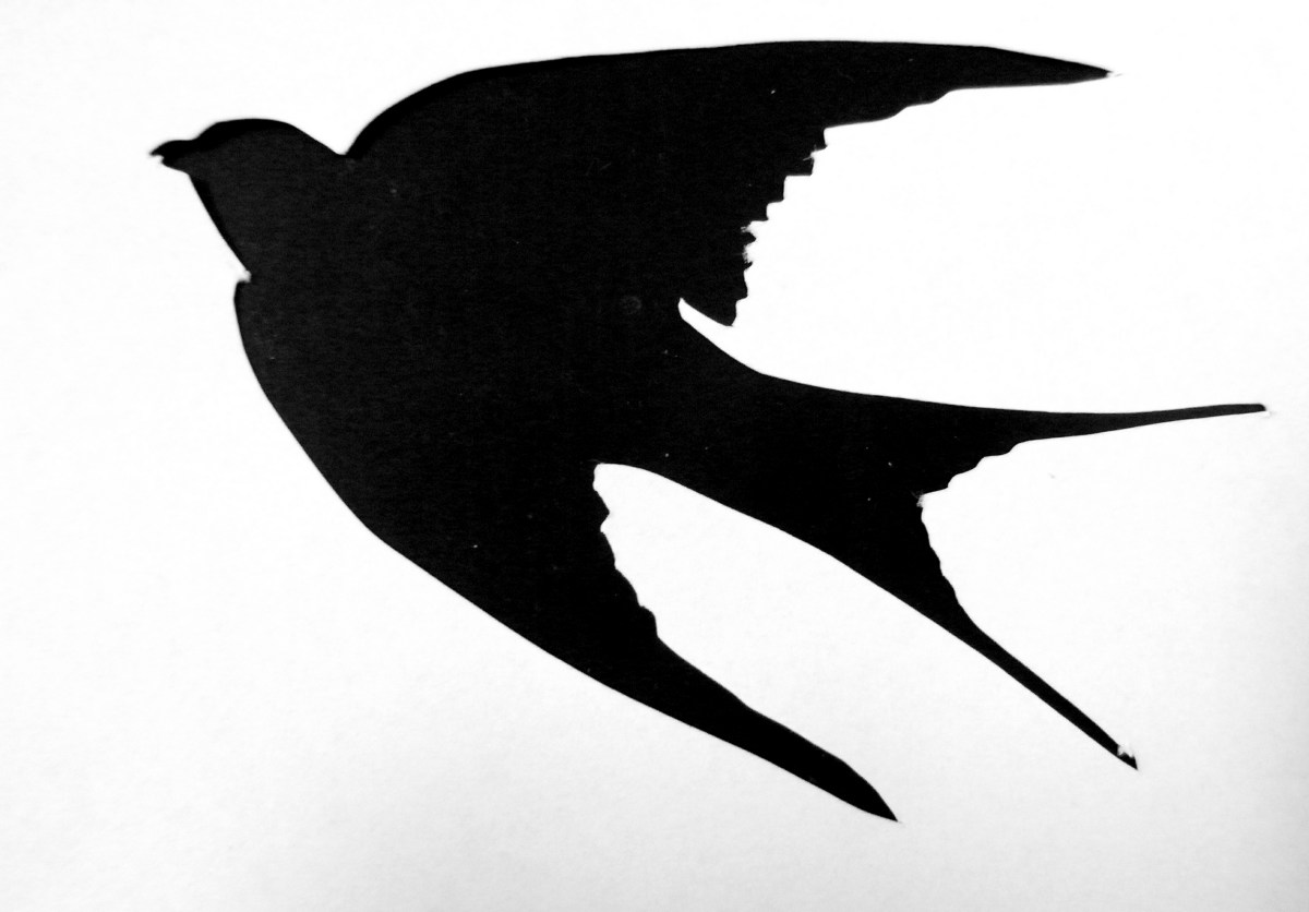 saraccino: It takes more than one swallow to make a summer... - ClipArt