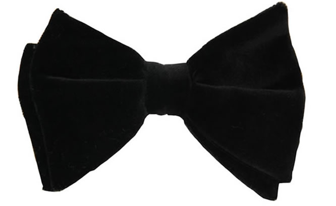 LE NOEUD PAPILLON: The Problem With Photographing Velvet Bow Ties....