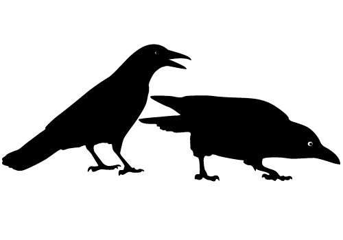 Crow Vector | An Images Hub