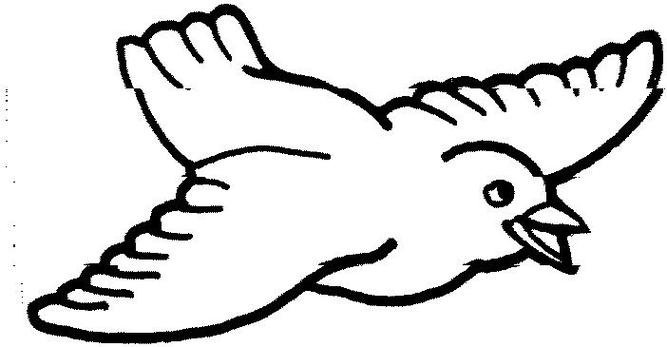 Flying Bird Outline Drawing Clipart - Free to use Clip Art Resource