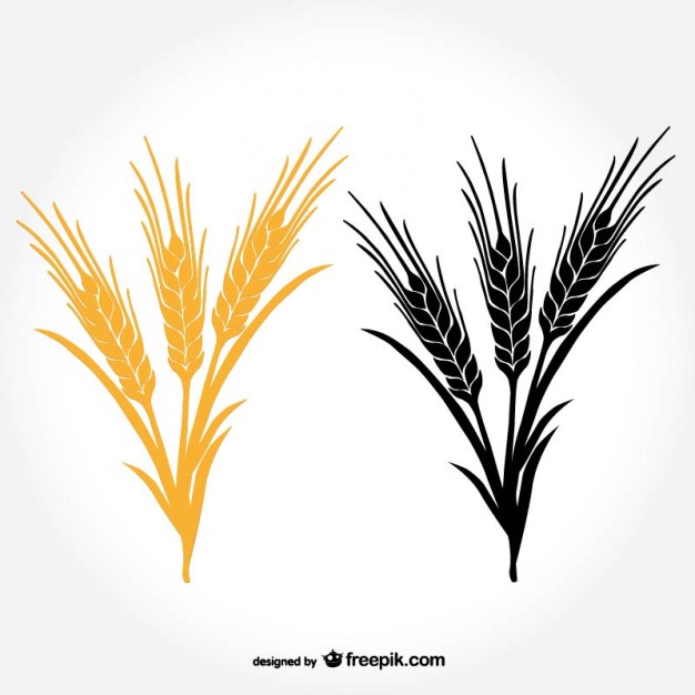 Wheat Logo Vectors, Photos and PSD files | Free Download