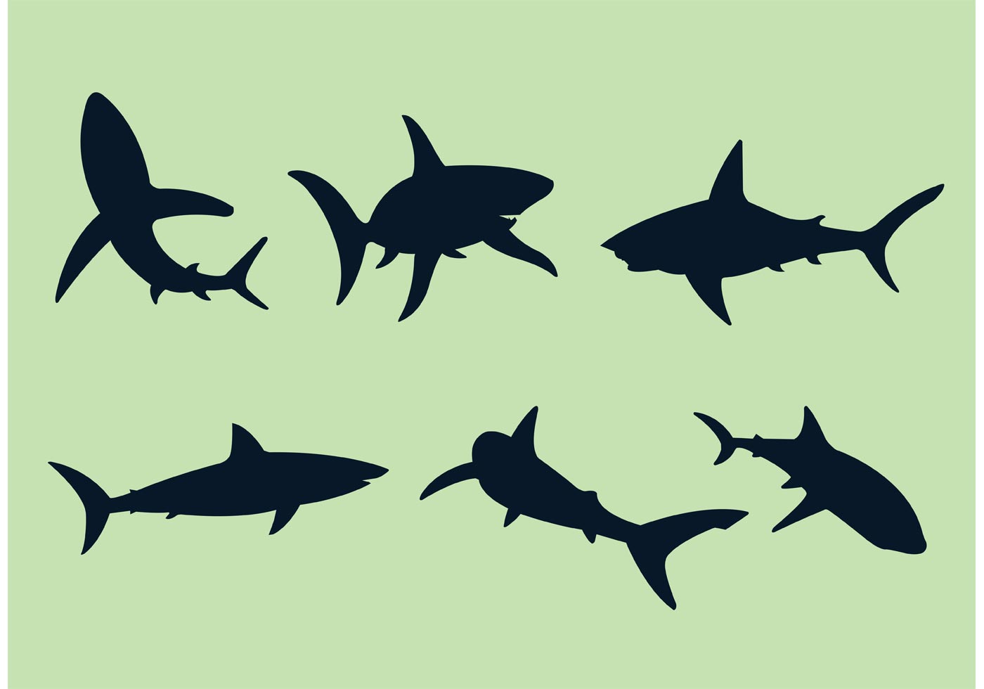 Shark Free Vector Art - (1381 Free Downloads)