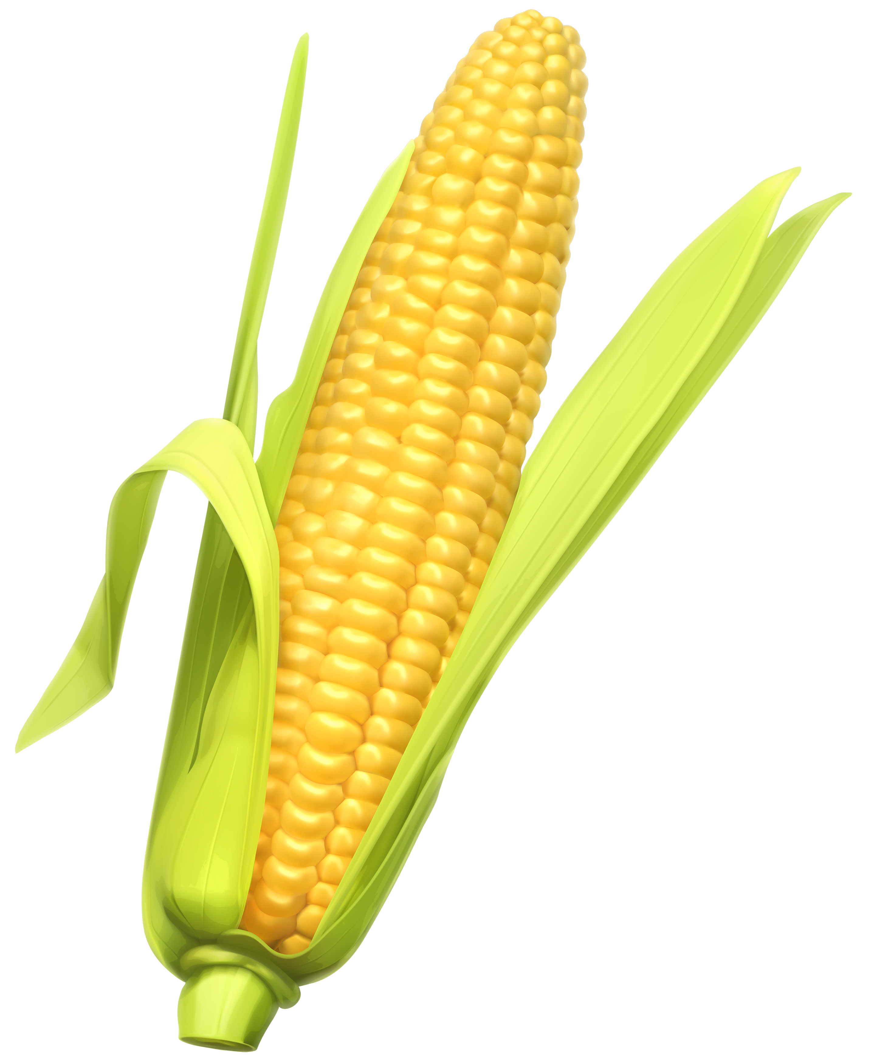 Corn Clipart - 46 cliparts