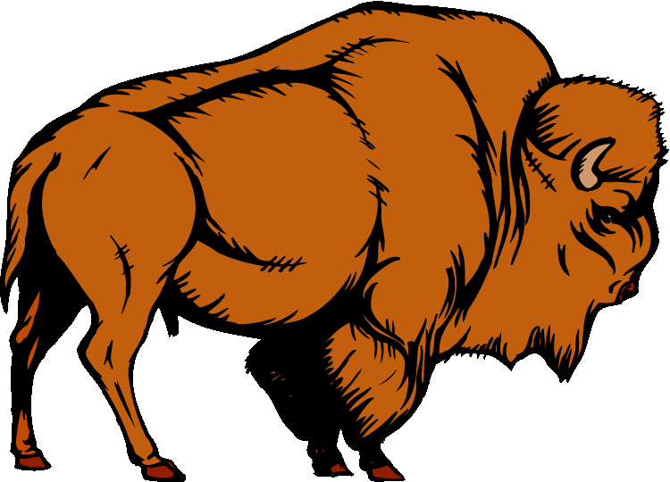 Free buffalo clipart clip art pictures graphics illustrations ...