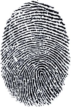 Fingerprint Clip Art Free - Free Clipart Images