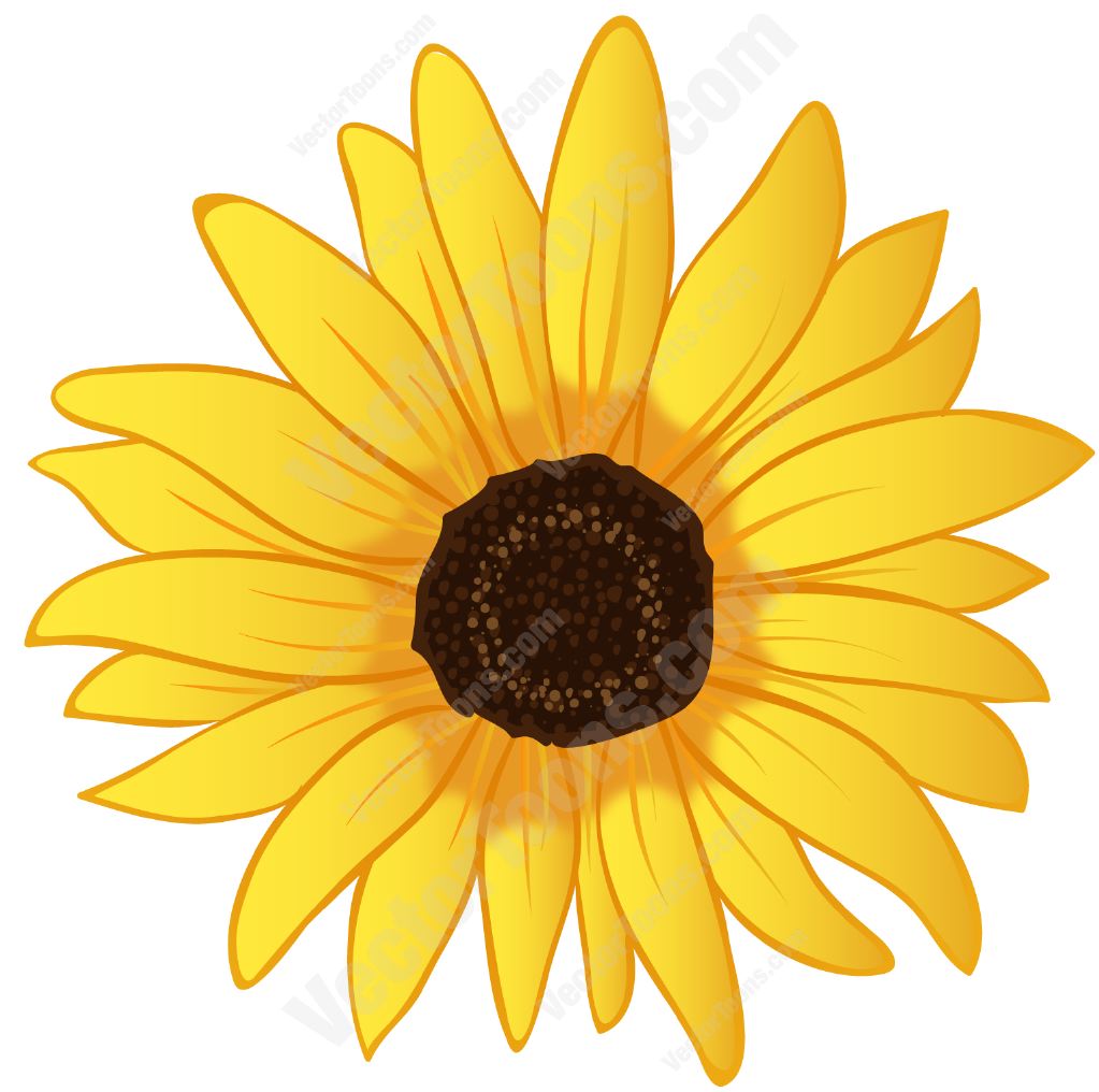 Yellow sunflower - VectorToons: Royalty Free Stock Vector Graphics