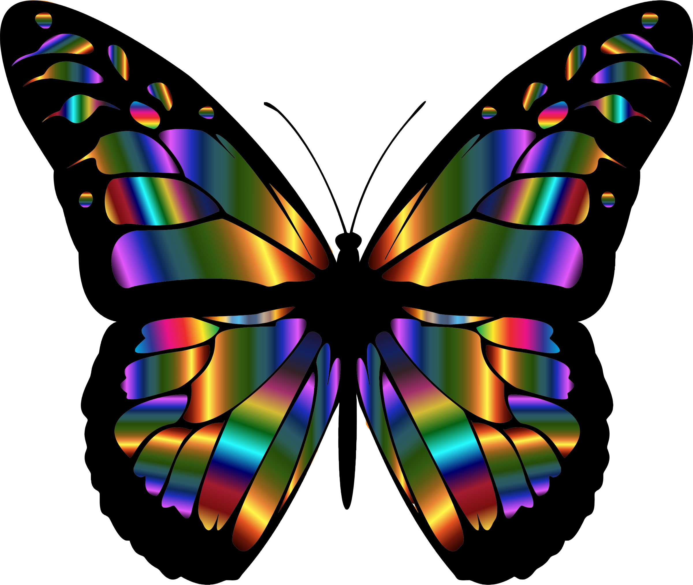 Monarch butterfly clipart png