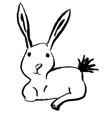 drawing of rabbit | Not Shallow