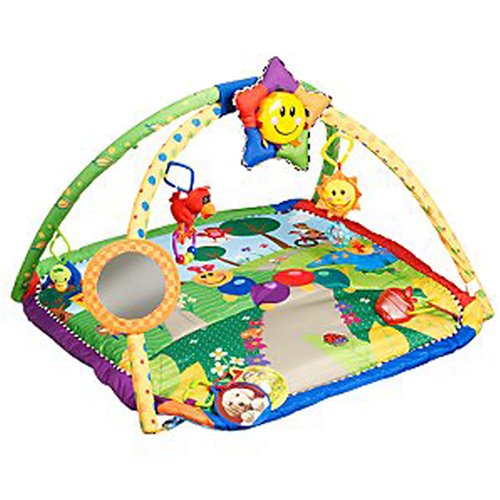 einstein play gym