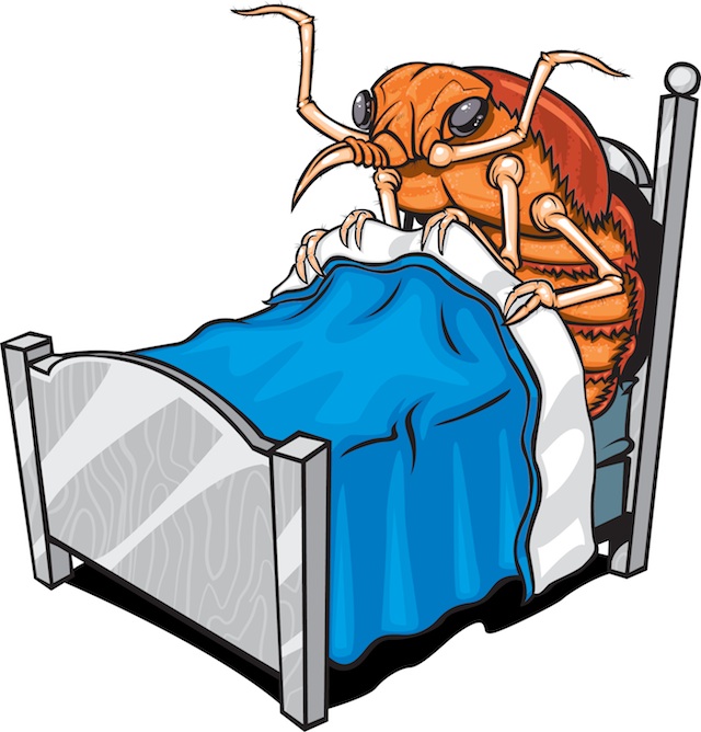 Animated bed clipart - ClipArt Best - ClipArt Best