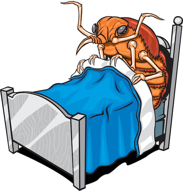 Animated bed clipart