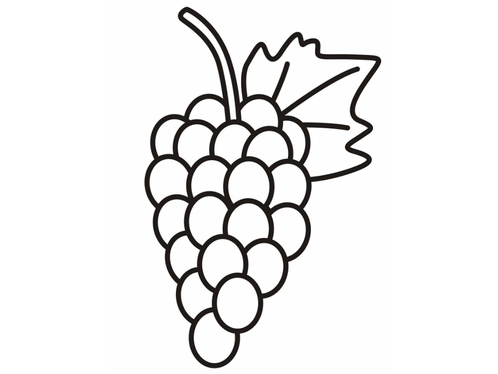 Grapes Drawing - Free Clipart Images