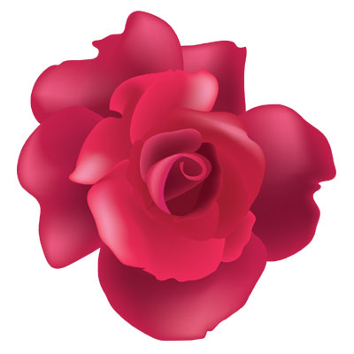 Vector Rose | Free Download Clip Art | Free Clip Art | on Clipart ...